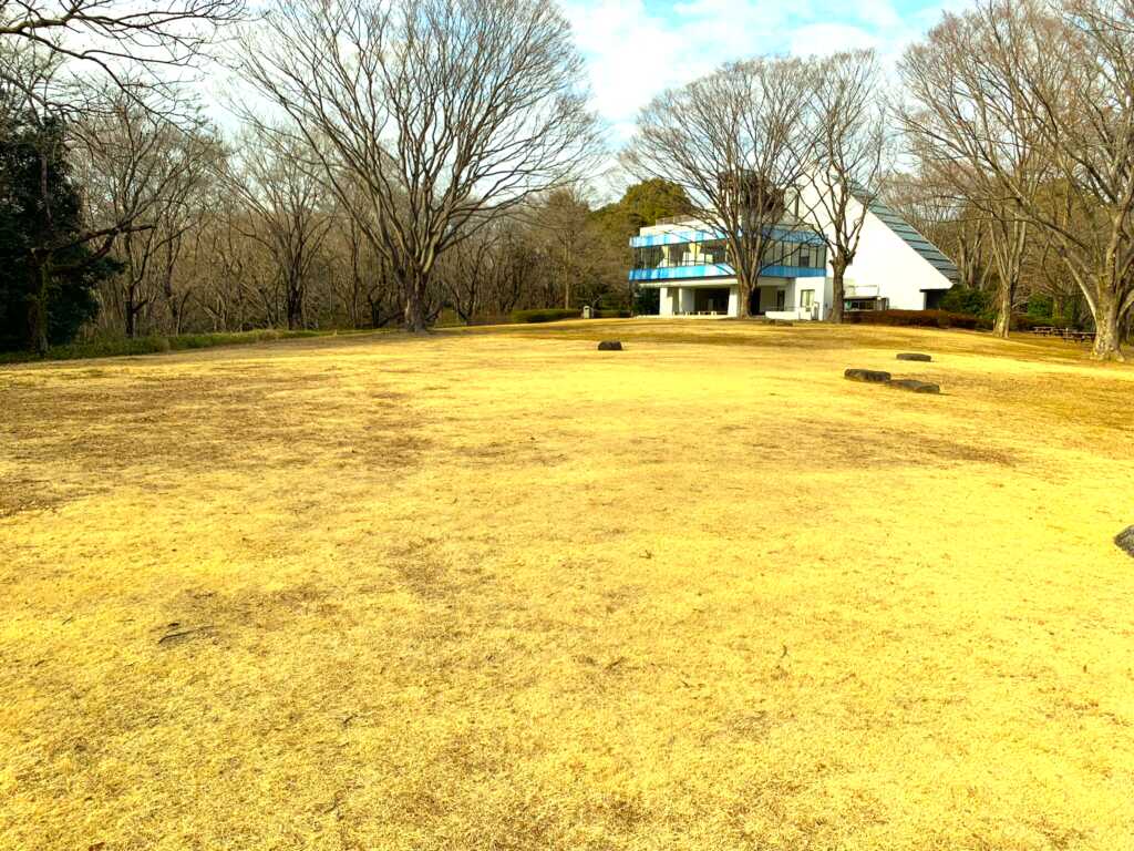 森林公園
