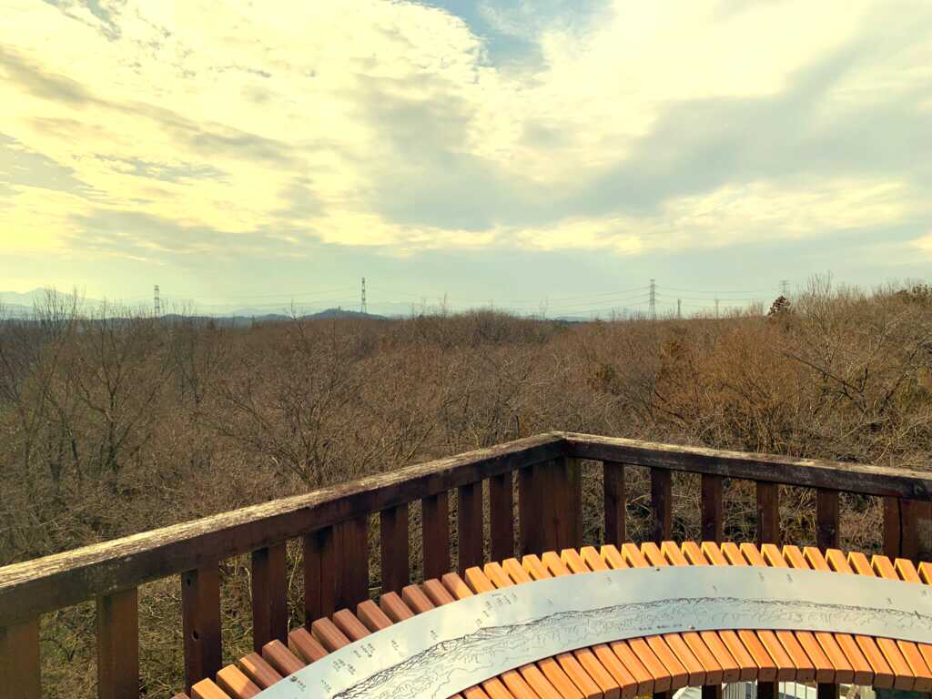 森林公園