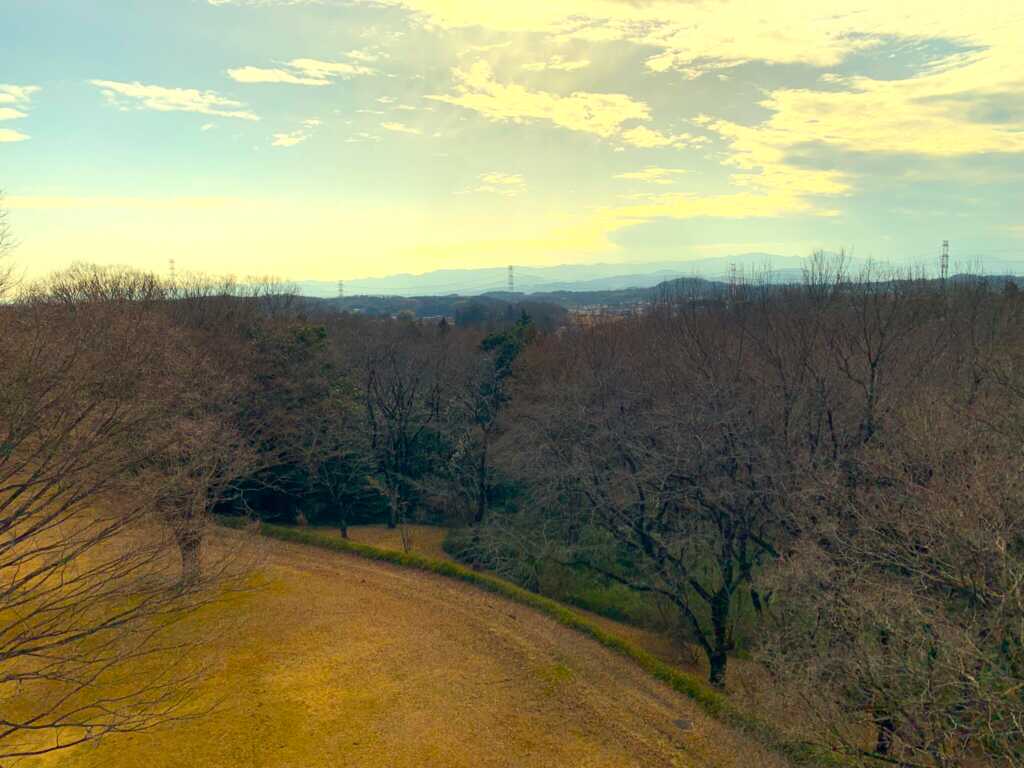 森林公園