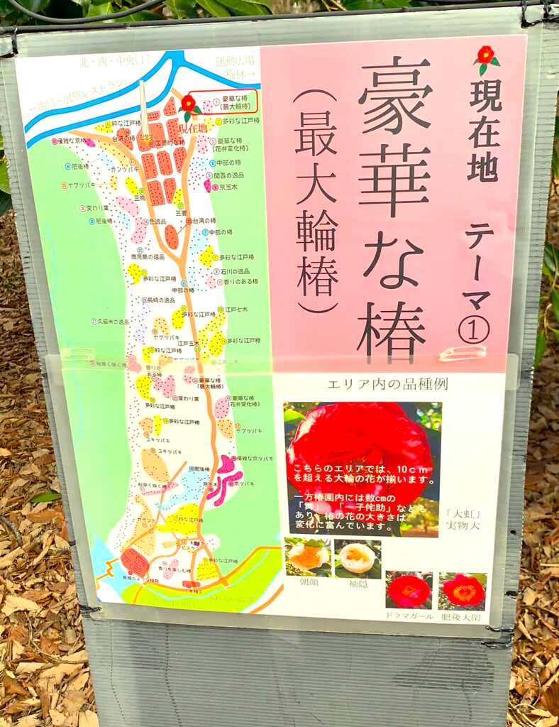 森林公園