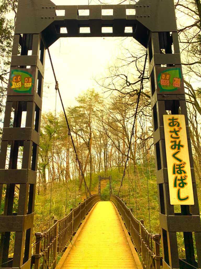森林公園