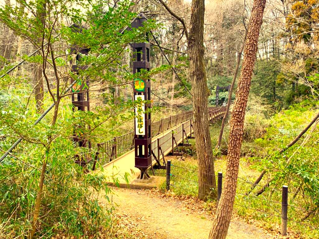 森林公園