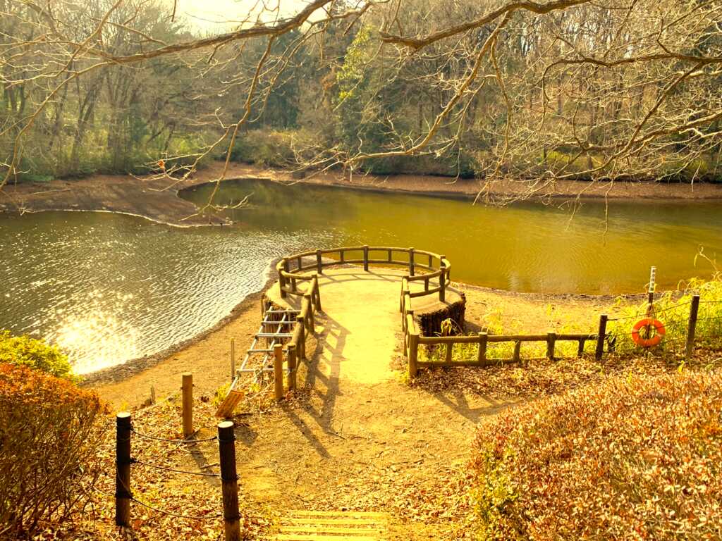森林公園