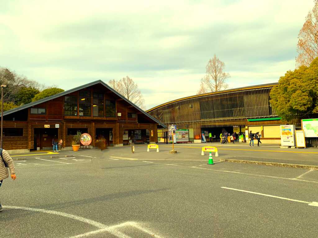 森林公園