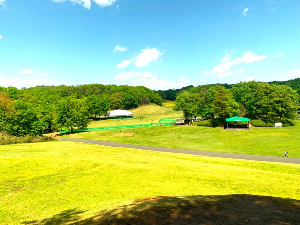 森林公園