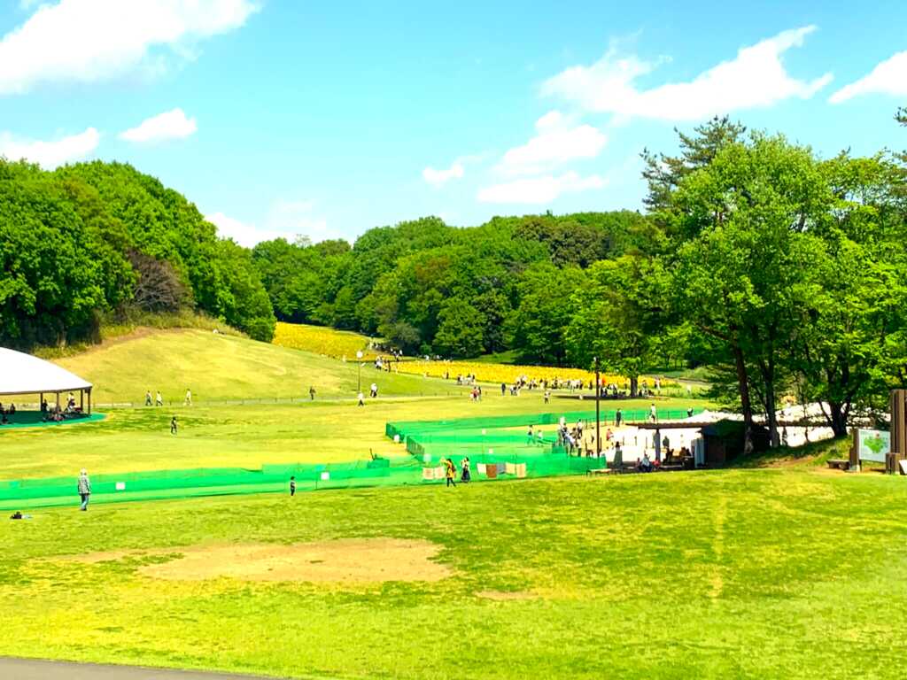 森林公園