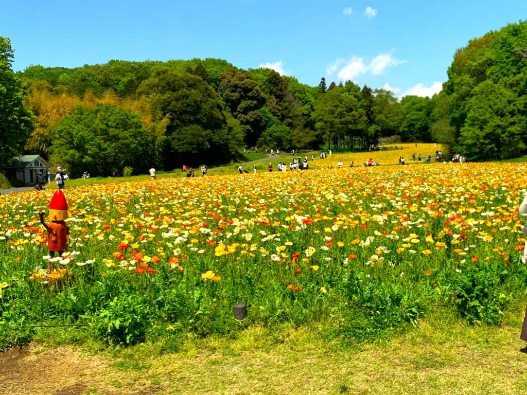 森林公園