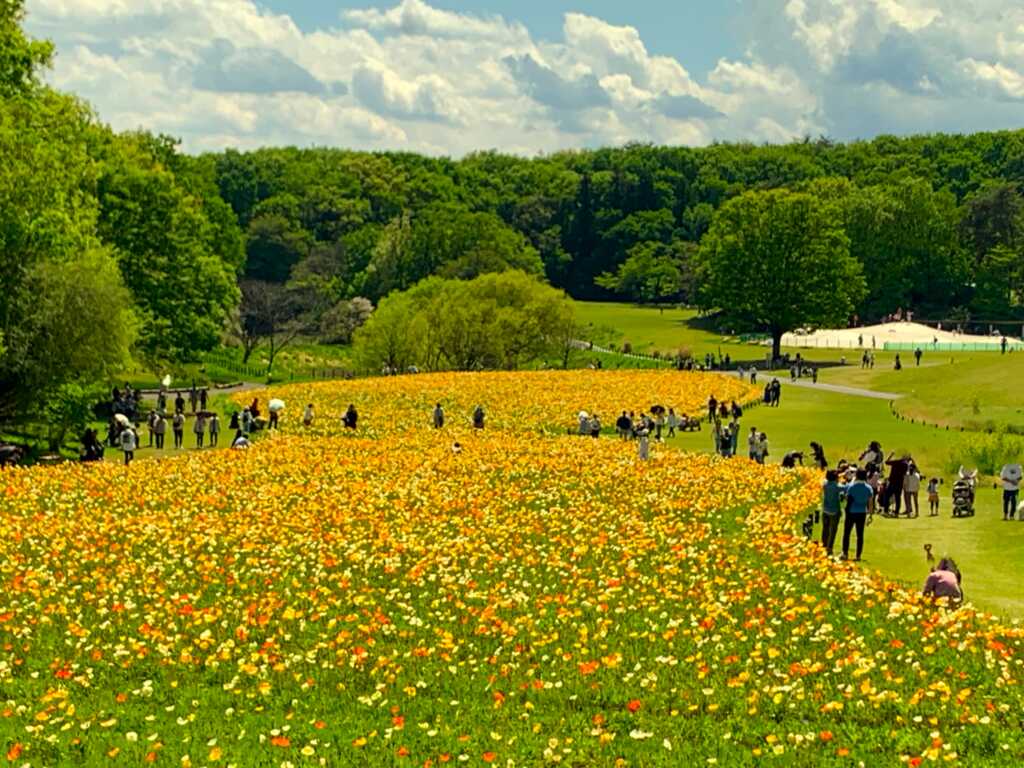 森林公園