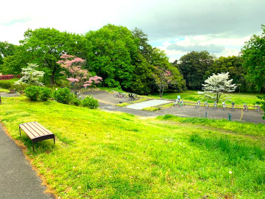 森林公園
