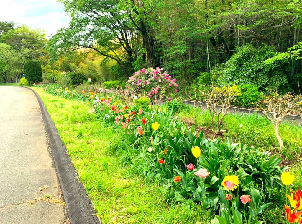 森林公園