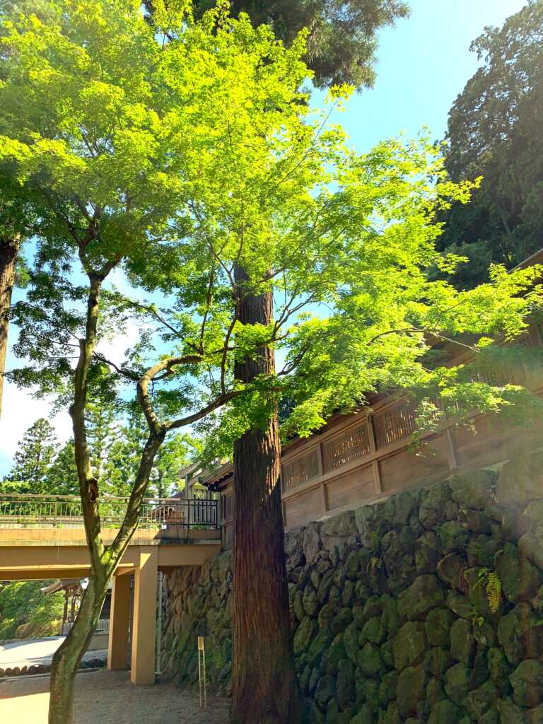 高麗神社/聖天院