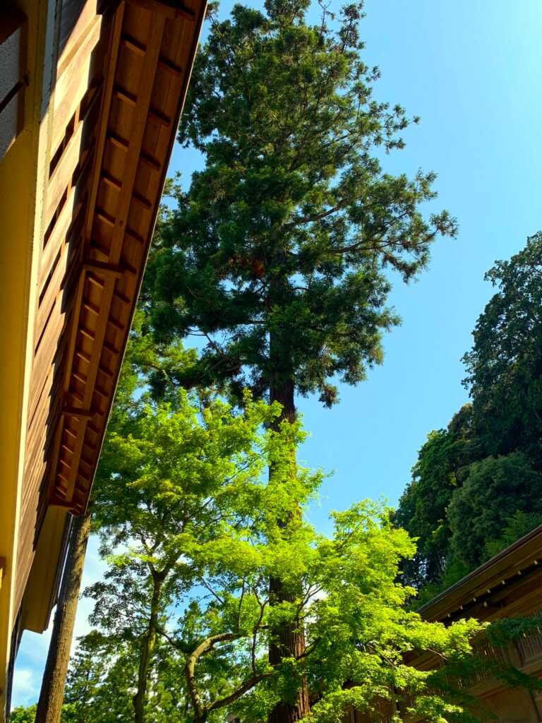 高麗神社/聖天院