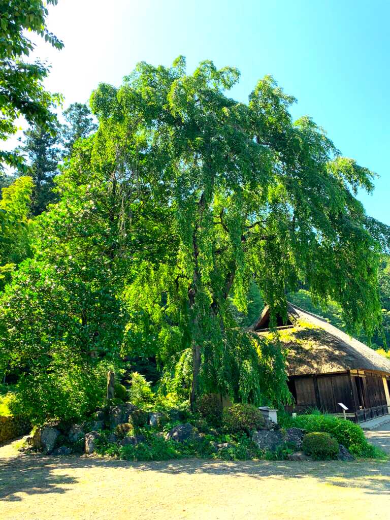 高麗神社/聖天院