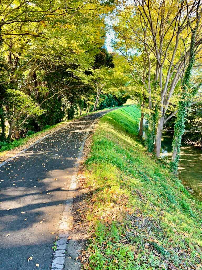 川島