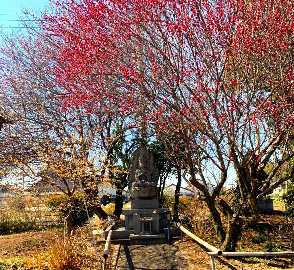 川島