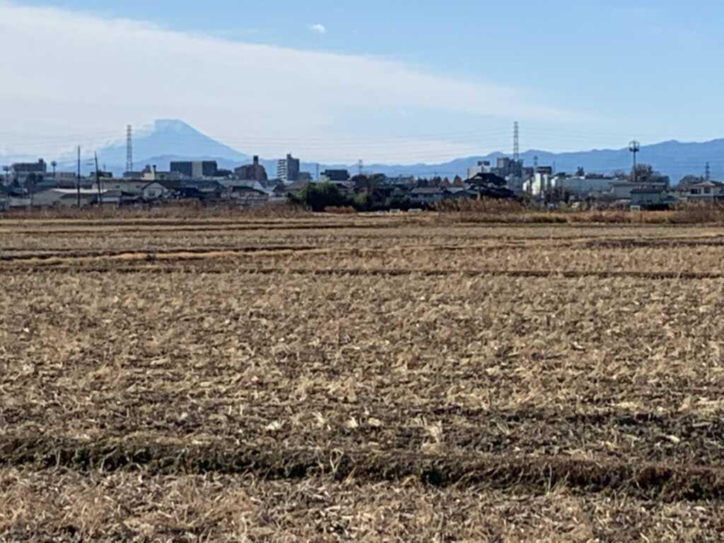 富士山