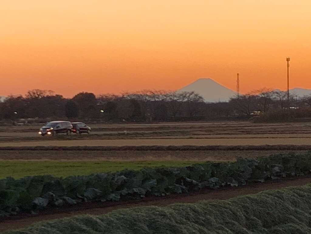 富士山