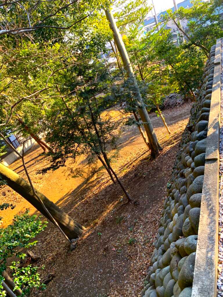 みずほ台~川越