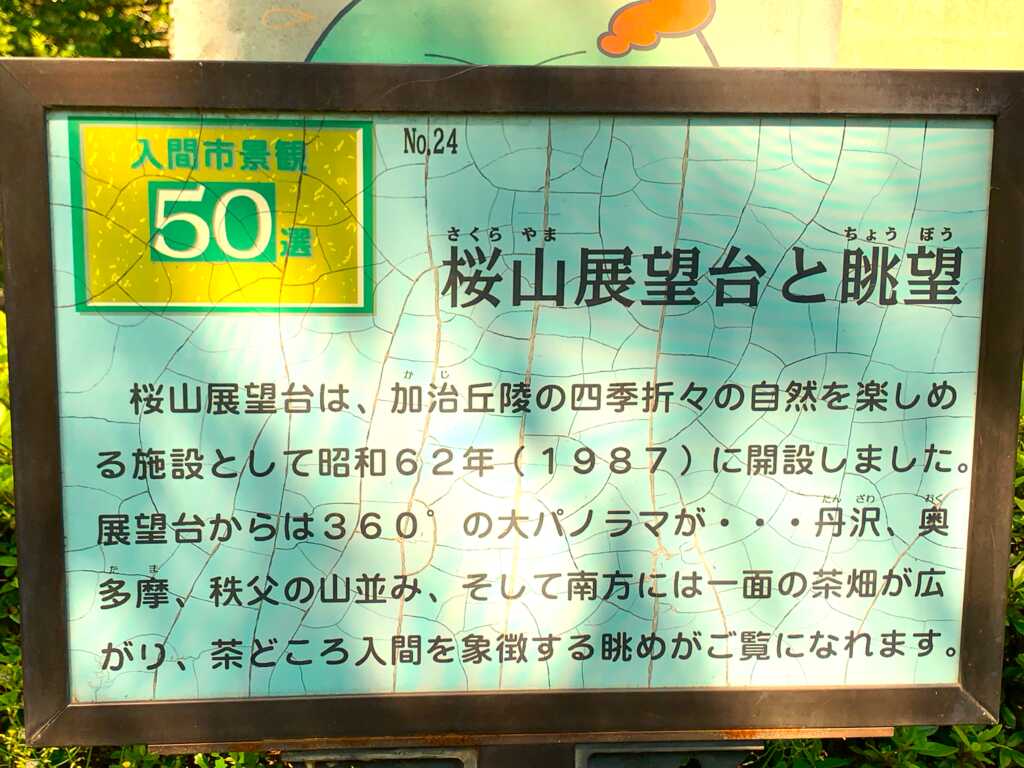 金子~入間