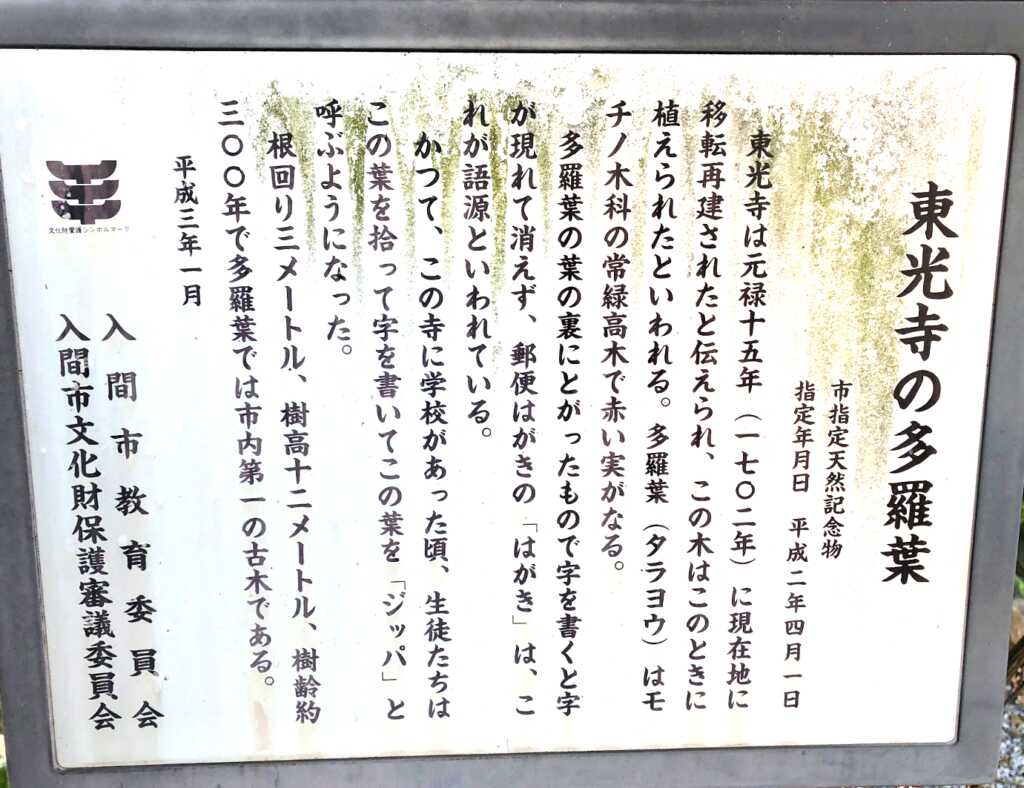 金子~入間