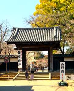 川越 喜多院