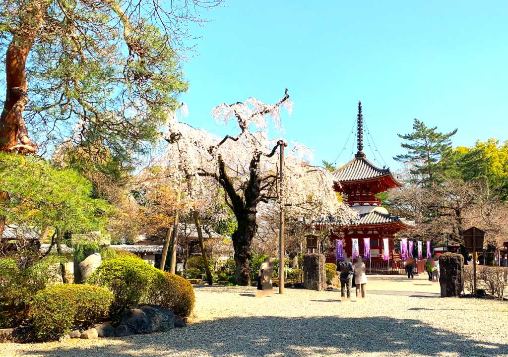 喜多院