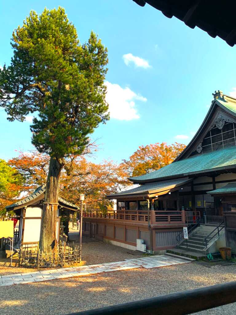 喜多院