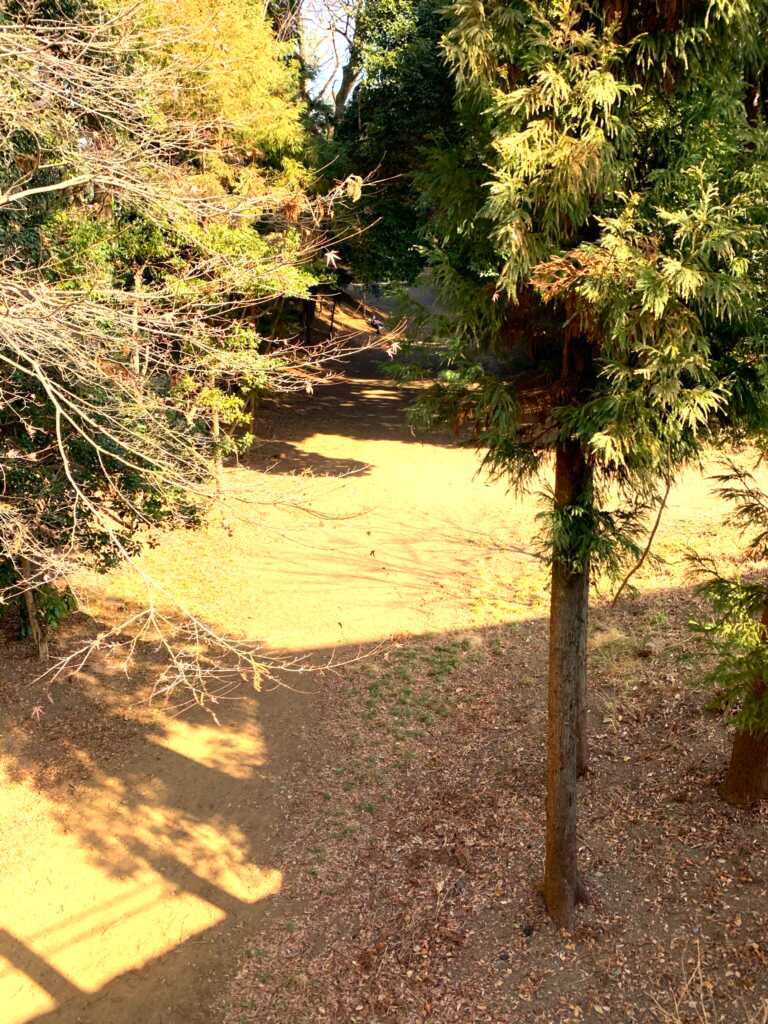 喜多院