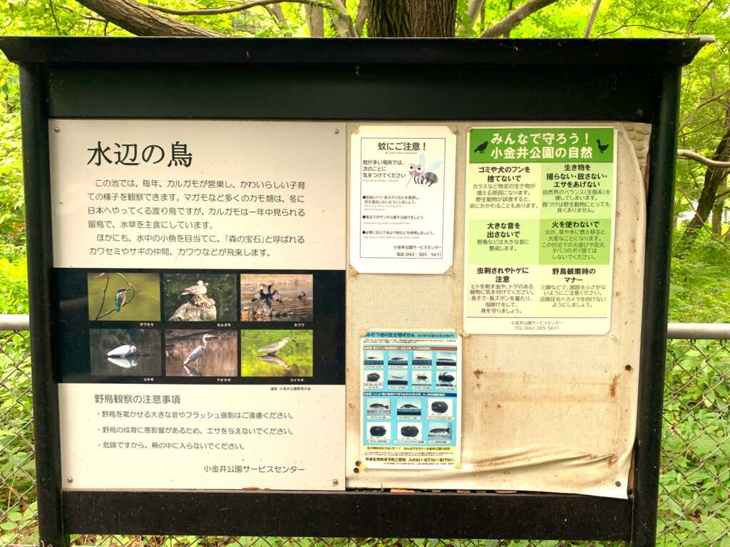 小平/小金井