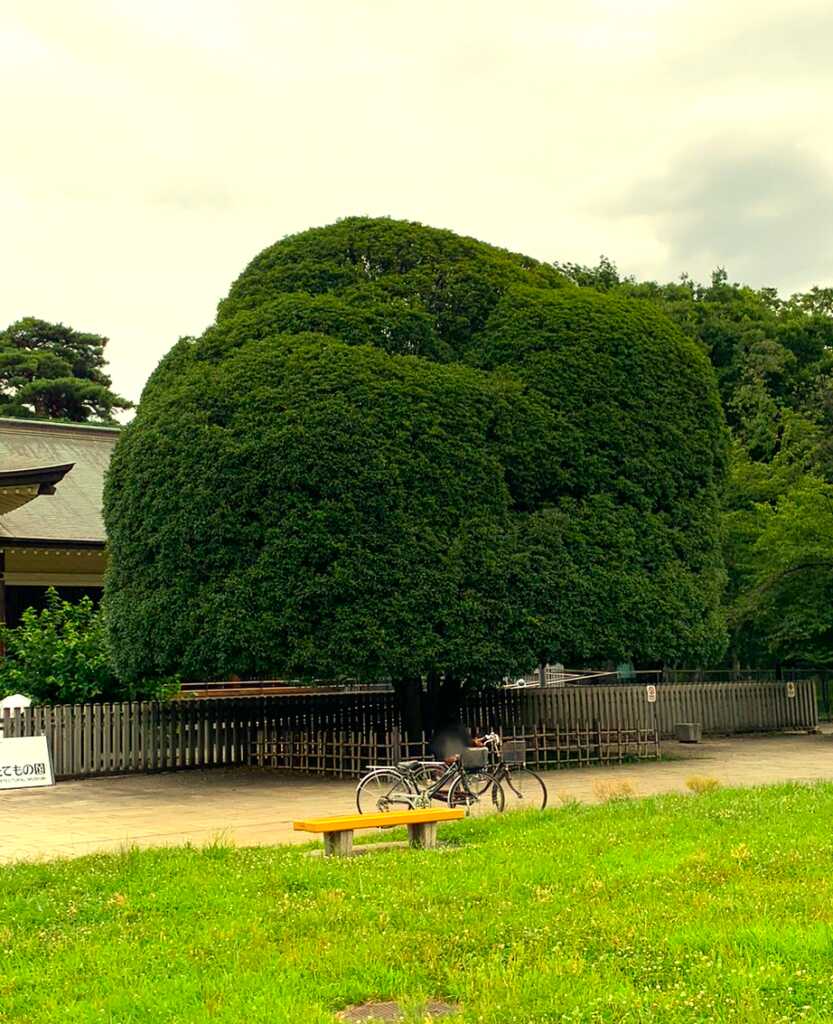 江戸東京たてもの園