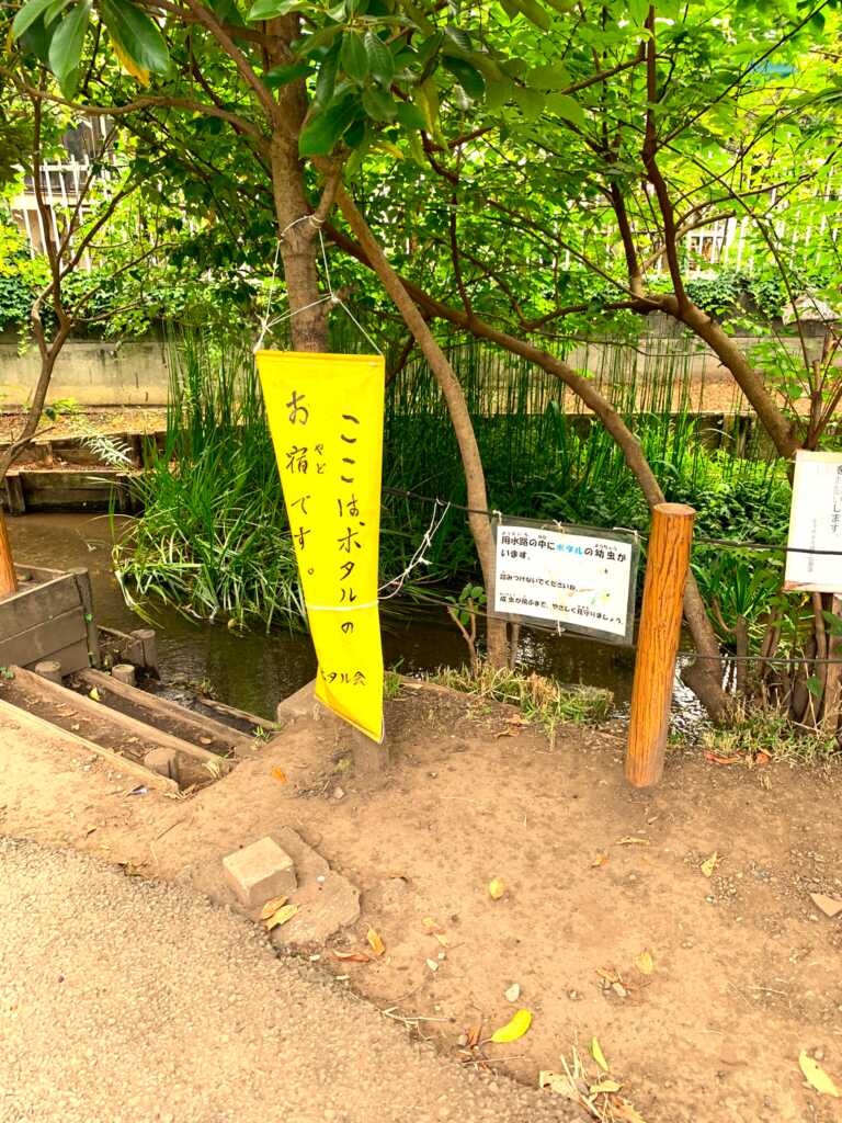 小平/小金井