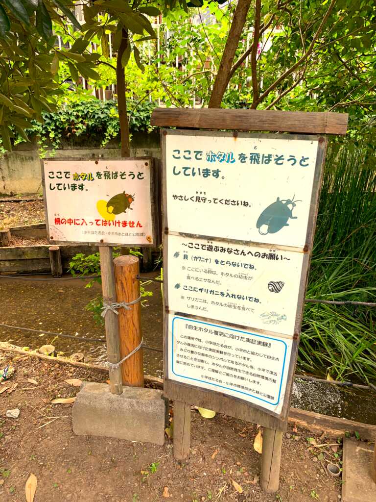 小平/小金井
