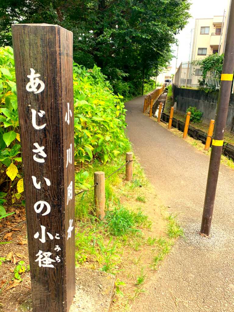 小平/小金井