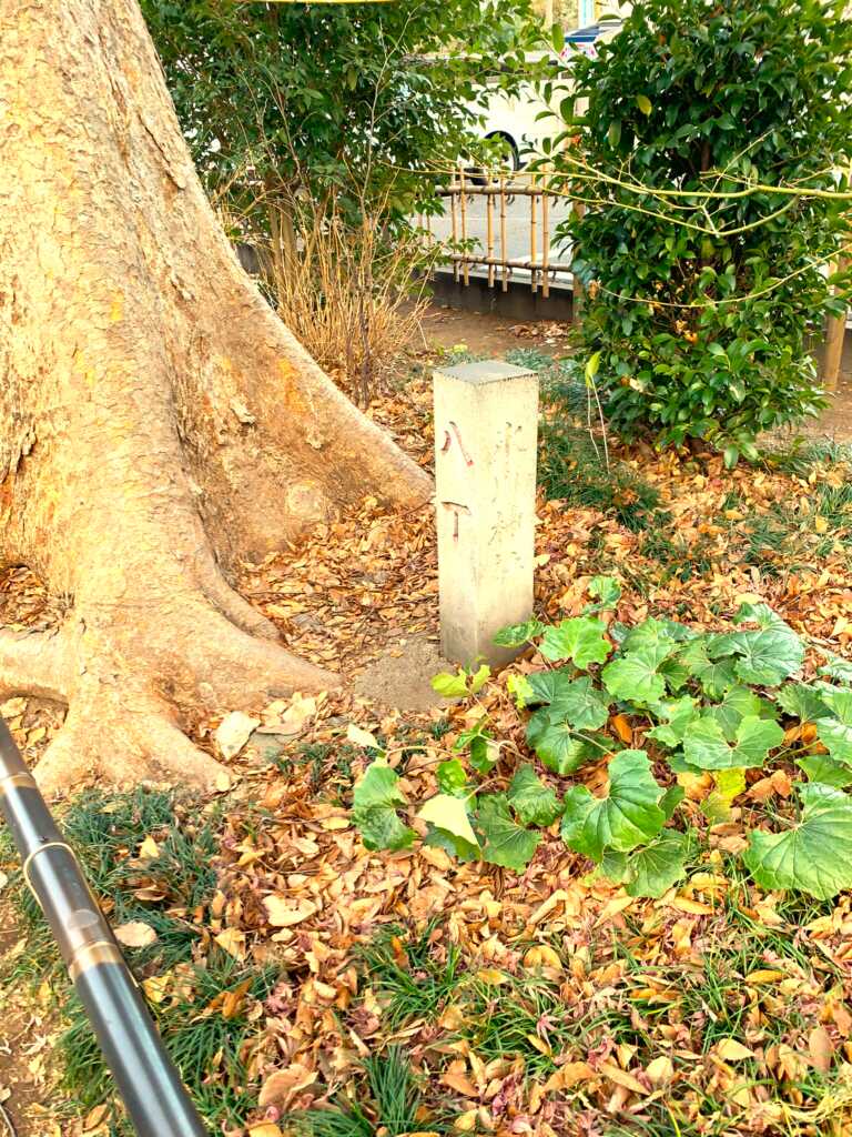 大宮氷川神社