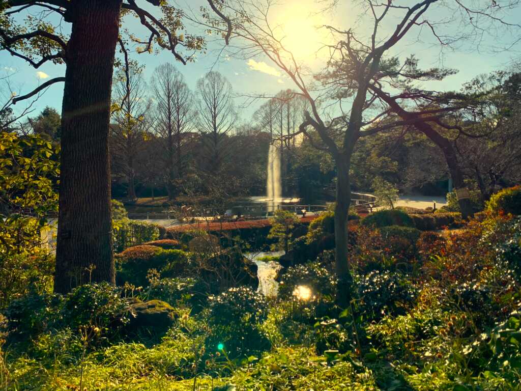 大宮氷川神社