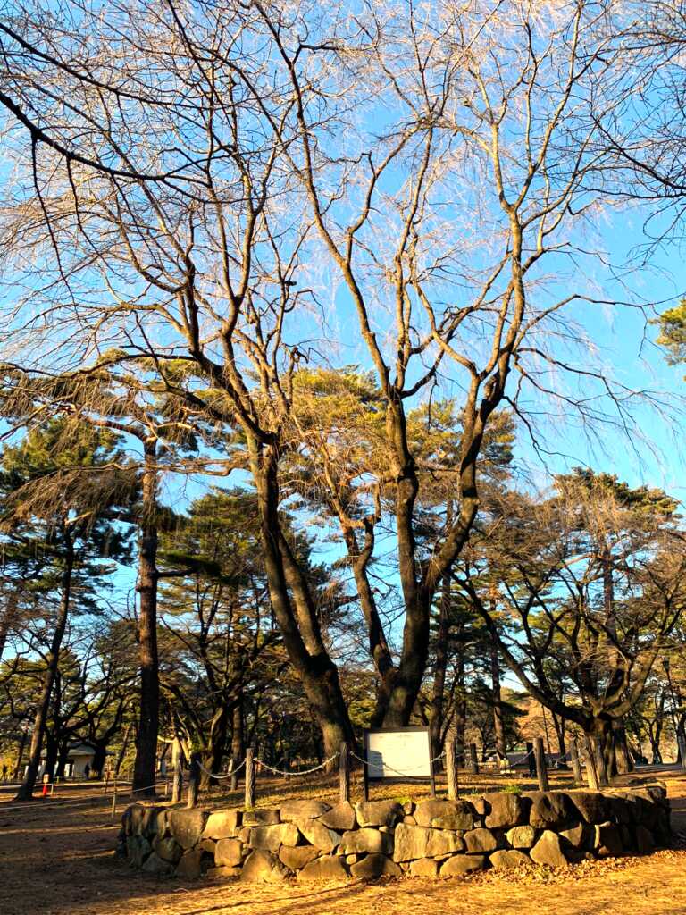大宮氷川神社