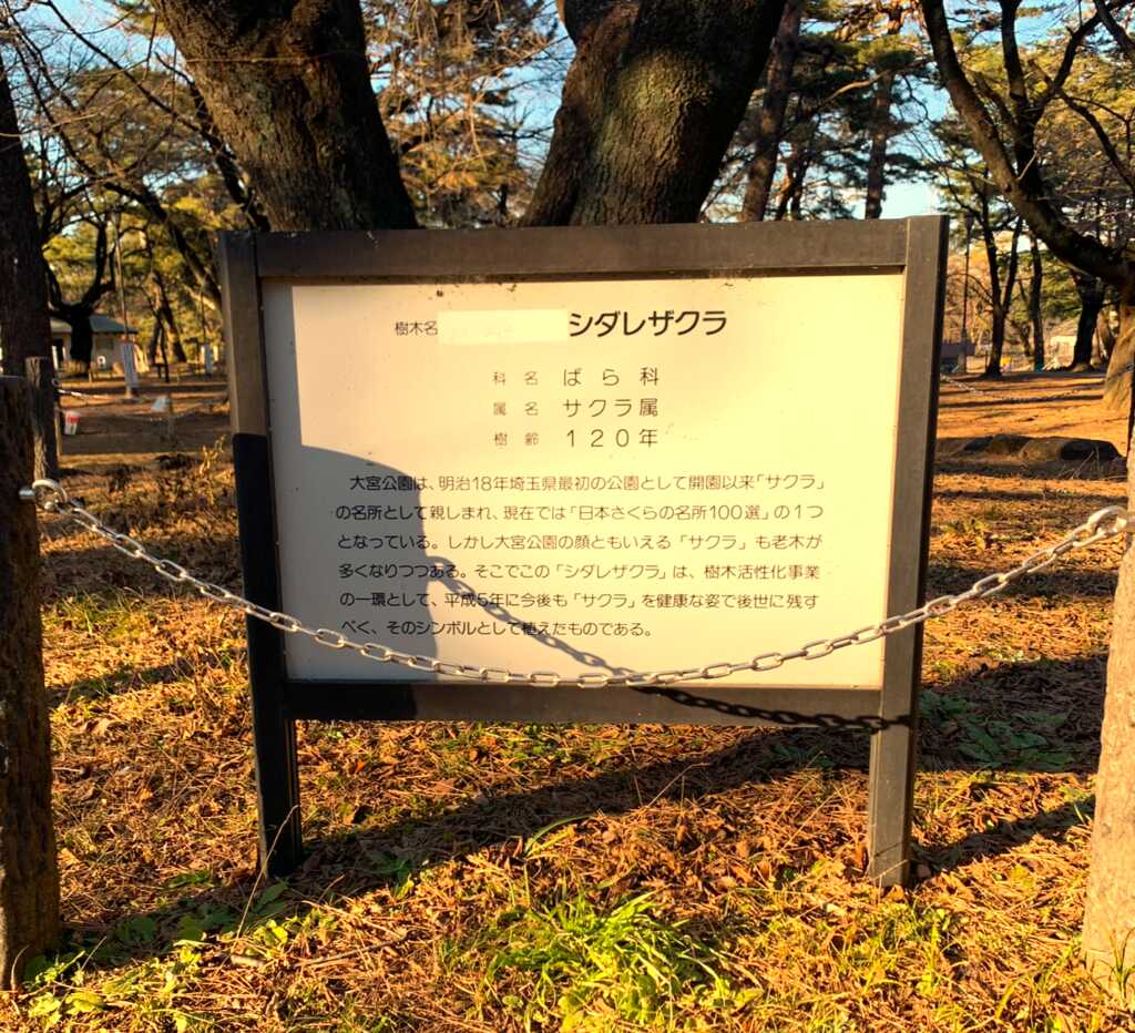 大宮氷川神社