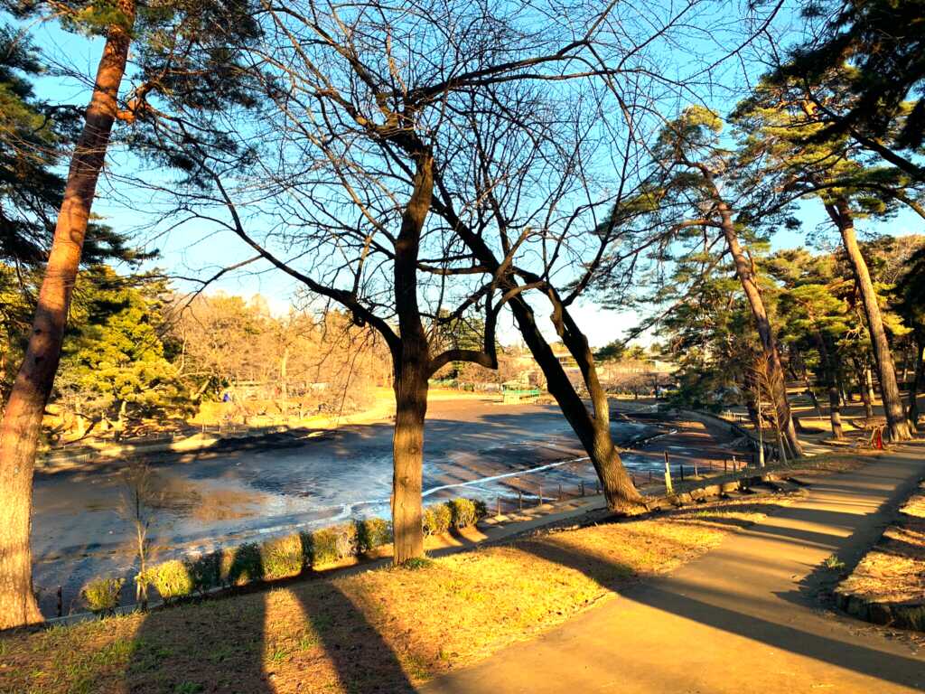 大宮氷川神社