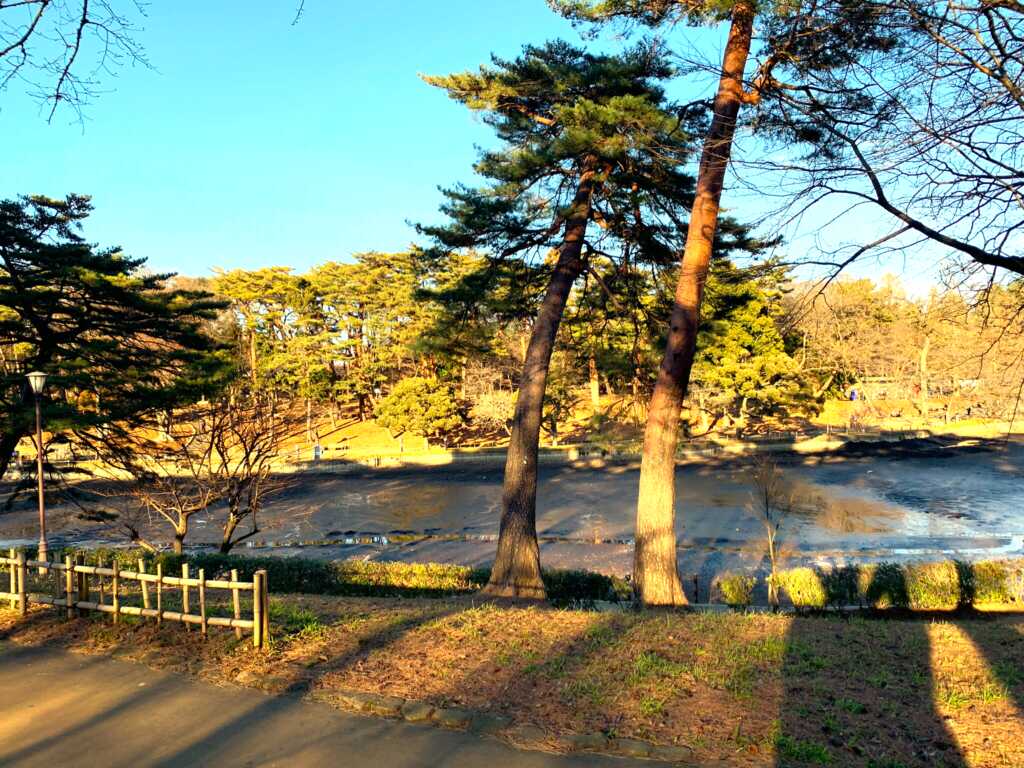 大宮氷川神社