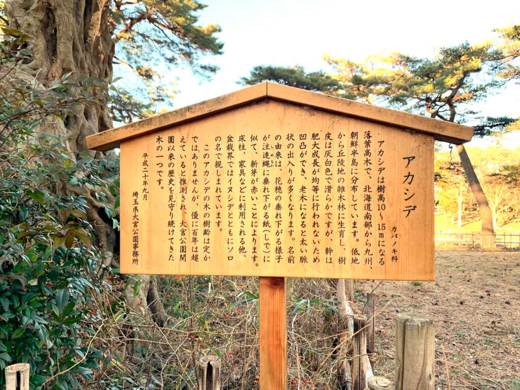 大宮氷川神社