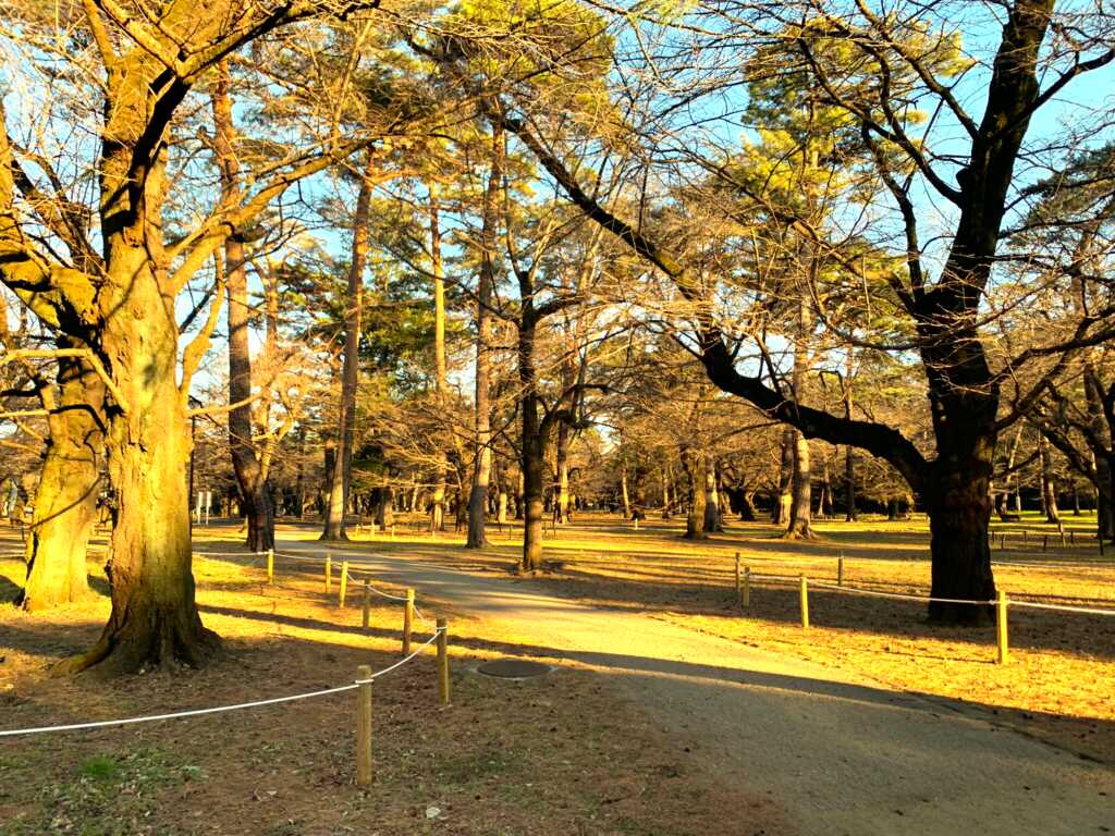 大宮氷川神社