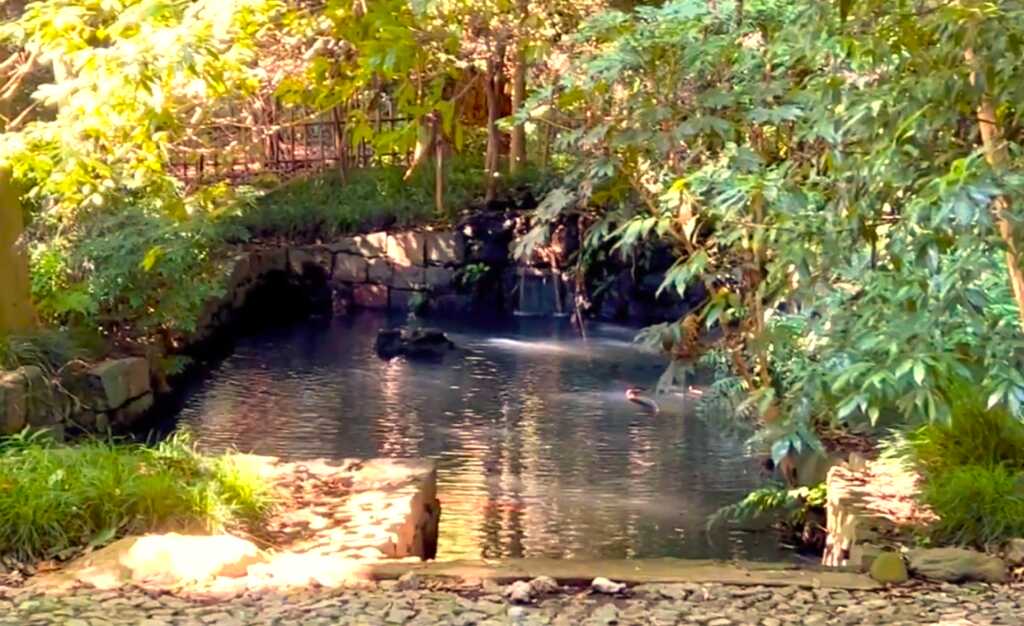 大宮氷川神社