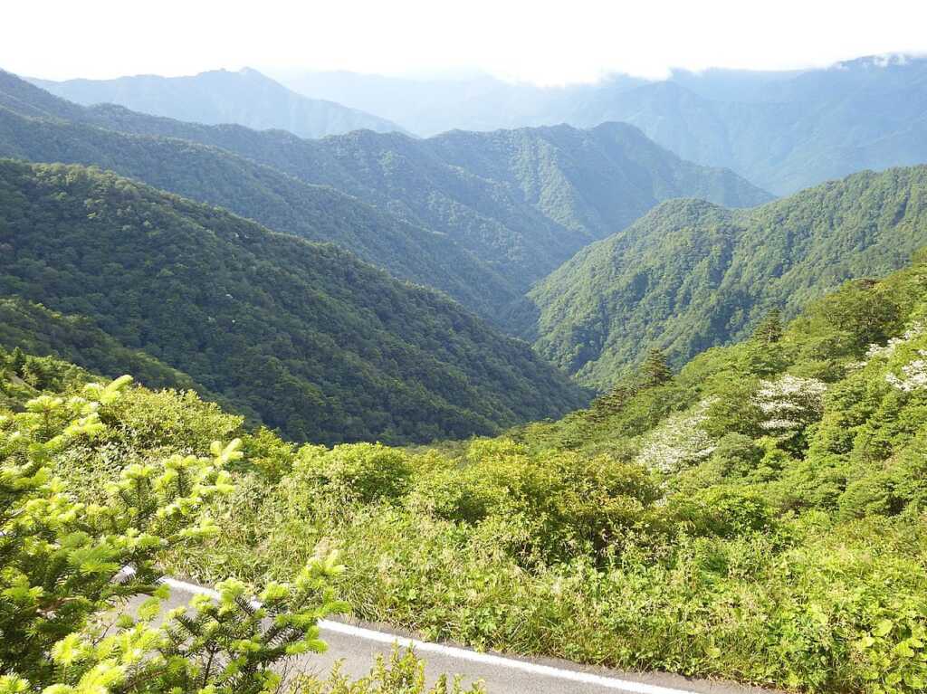 吉野川