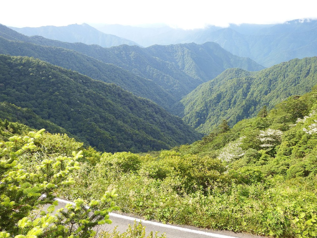 吉野川