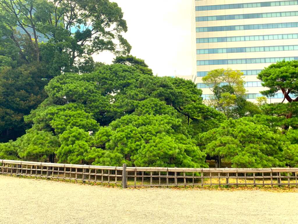 浜離宮