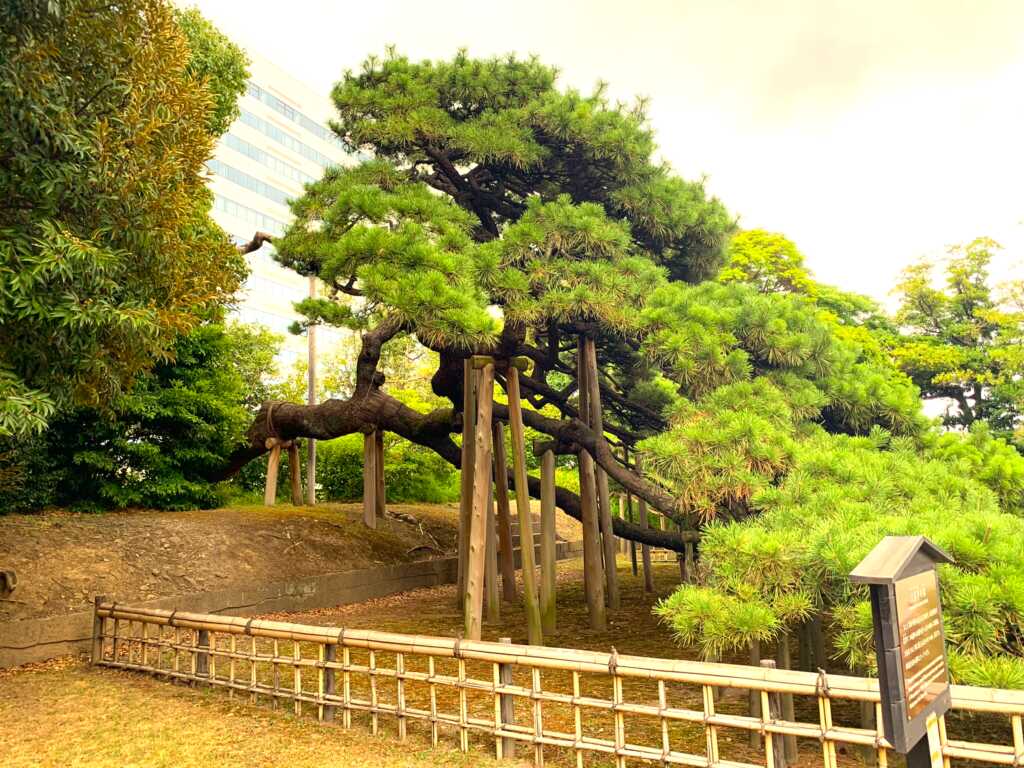 浜離宮
