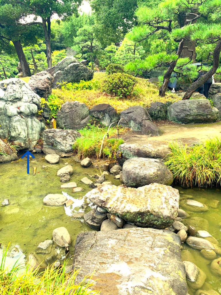清澄庭園