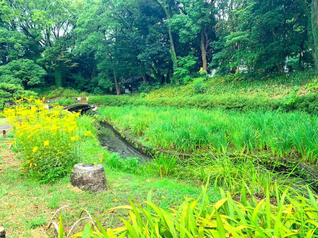 清澄庭園