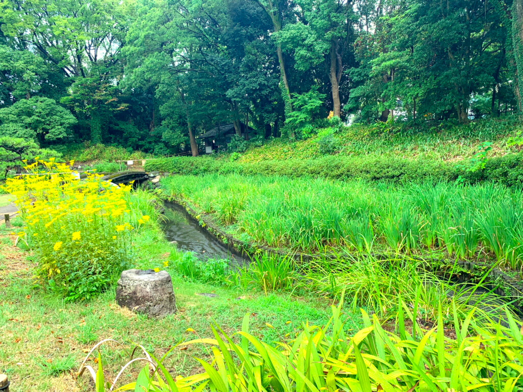清澄庭園