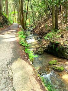 五常の滝を過ぎた後の峠までの道々の様子